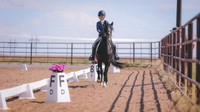 0N0A6483