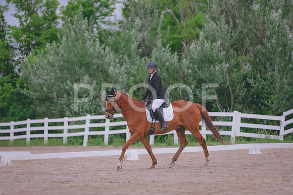TBEY6813