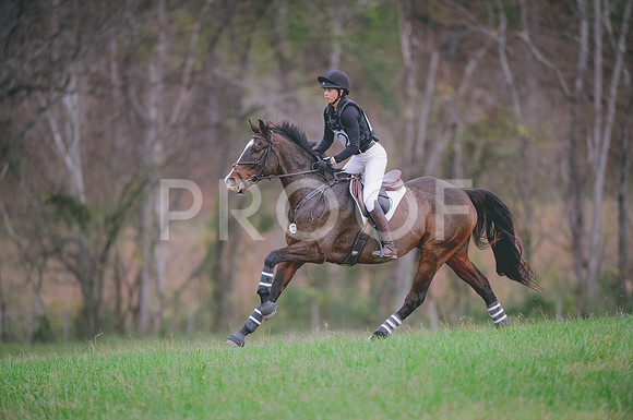 JJS_0831