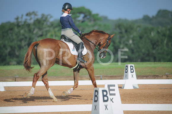 RWP_4426