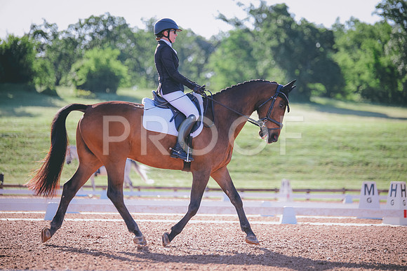 RWP_9237