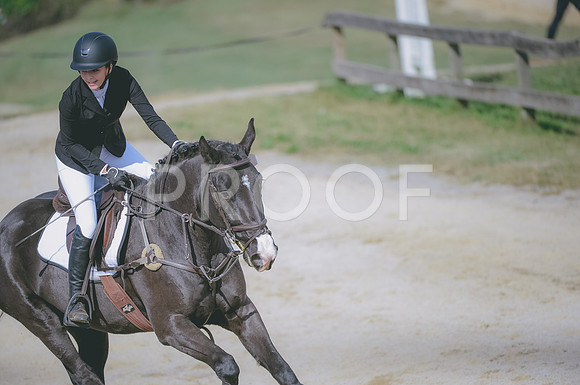 JJS_1573