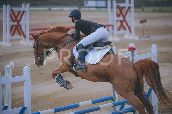 JJS_2217