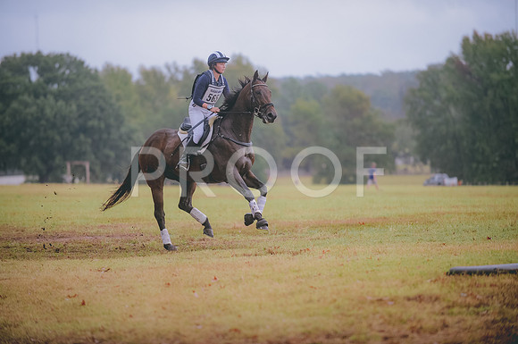 JJS_3647