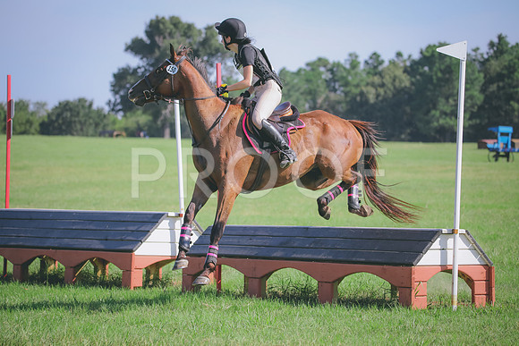 RWP_6290