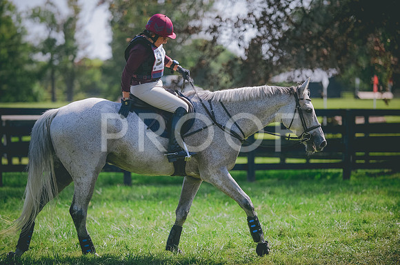 JJS_5191