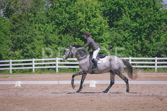 HLJ_9051