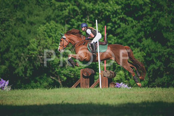 RWP_3485