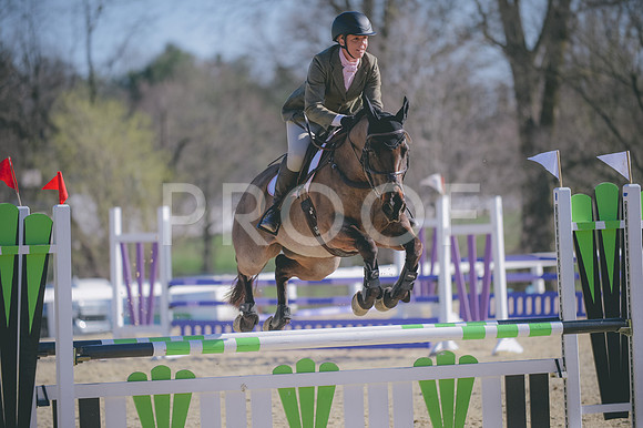 JJS_2018