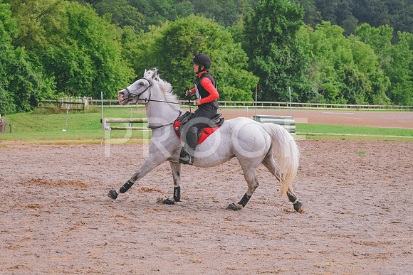 DSC_5341