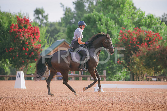 RWP_4185