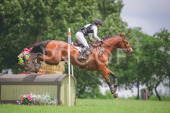 RWP_5951