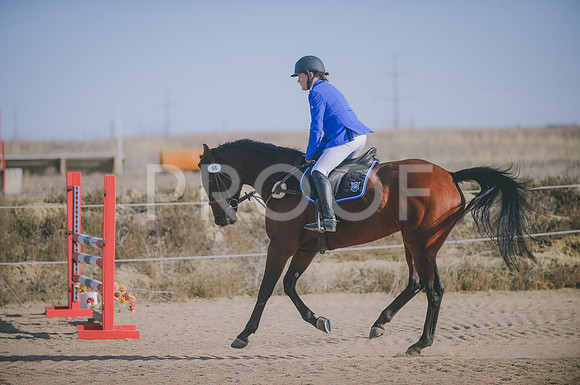 JJS_8661