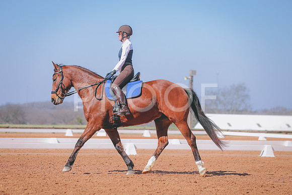 CDP_2886