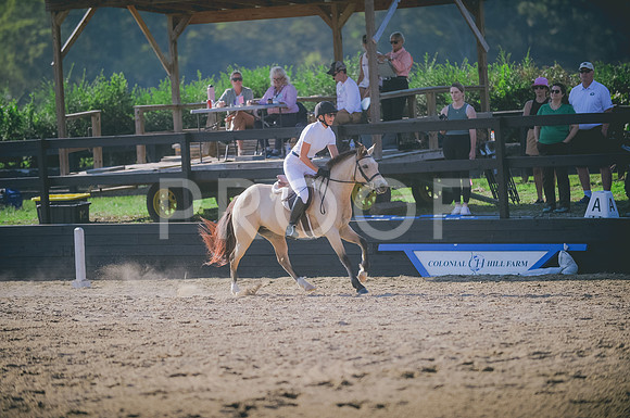 JJS_6819