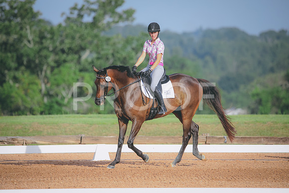 RWP_4341