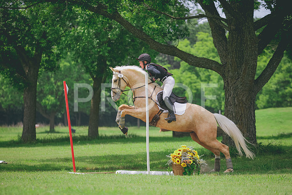 RWP_2254