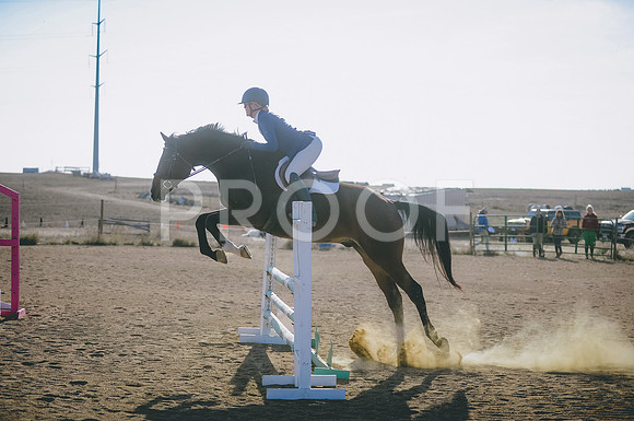 JJS_8899