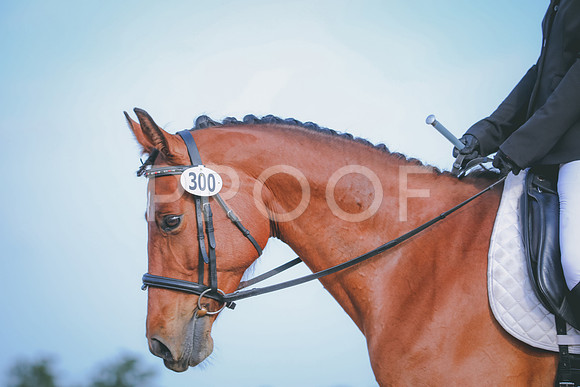 RWP_3763