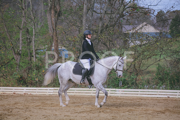 IMG_6944