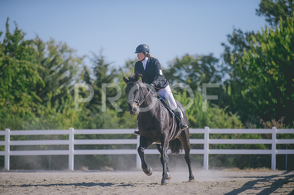 JJS_0873