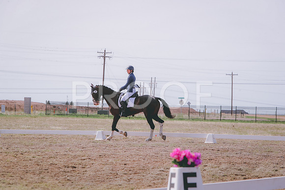 CDH_6973