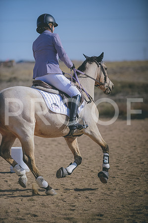JJS_3536