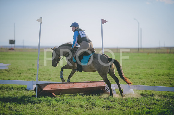 JJS_3571