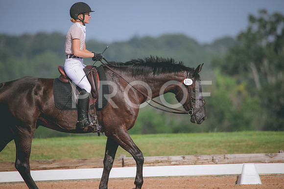 RWP_4662