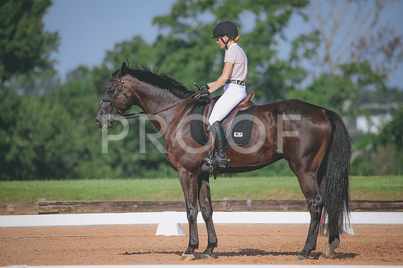RWP_4659