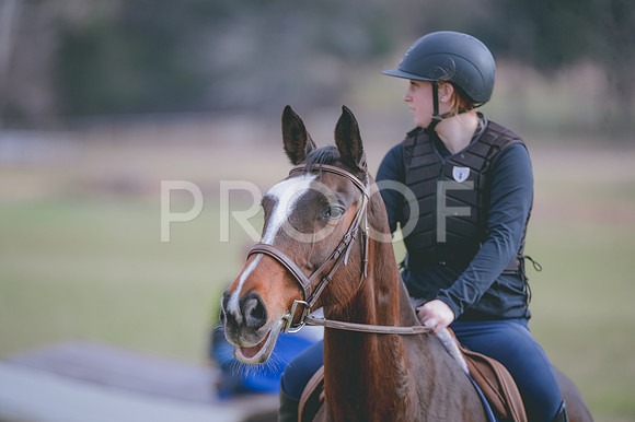 JJS_0587