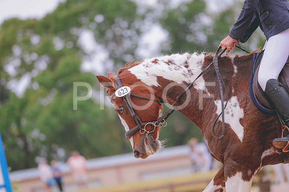 JC5_3199