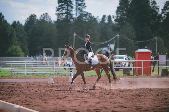 JJS_4382