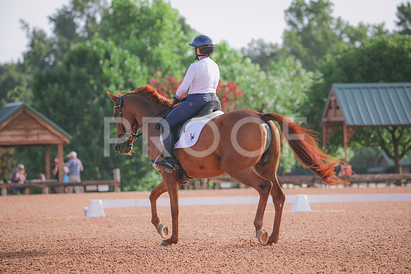 RWP_4290