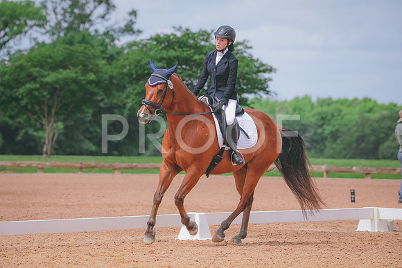 RWP_4334