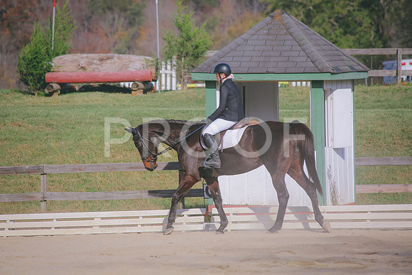 IMG_2522