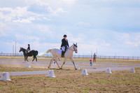 CLSL9274