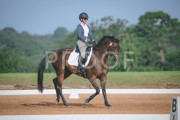 RWP_4404