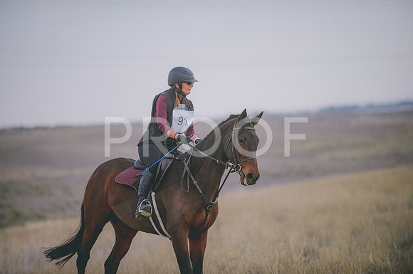 JJS_5398