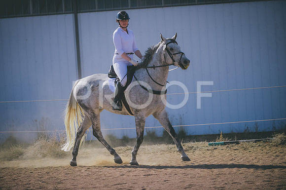 JJS_2593