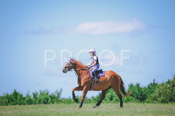 RWP_0986