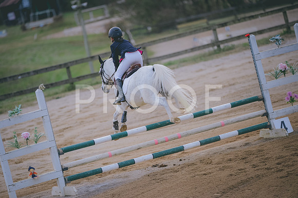 JJS_2819