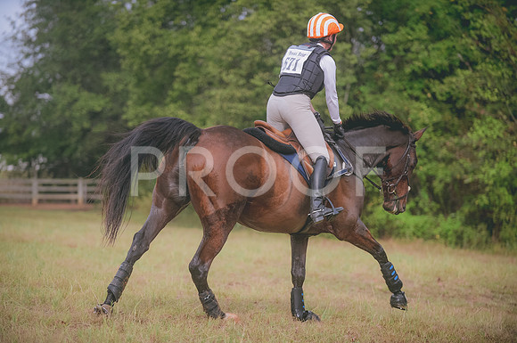 JJS_4045