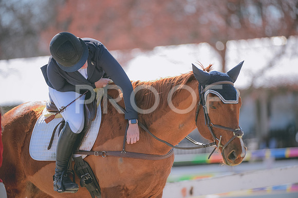 JJS_0149