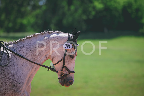 RWP_0246