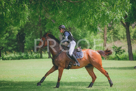 RWP_2590