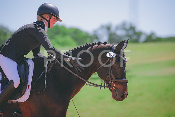 RWP_0319