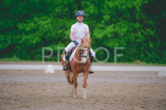 JJS_0776