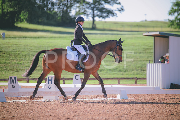 RWP_9262