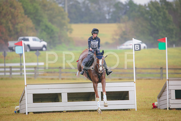 RWP_2025